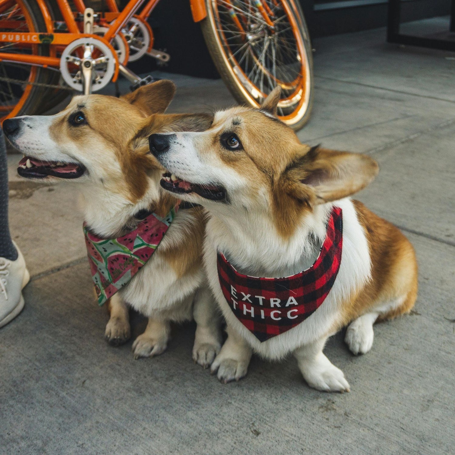 Everyday Styled Bandanas