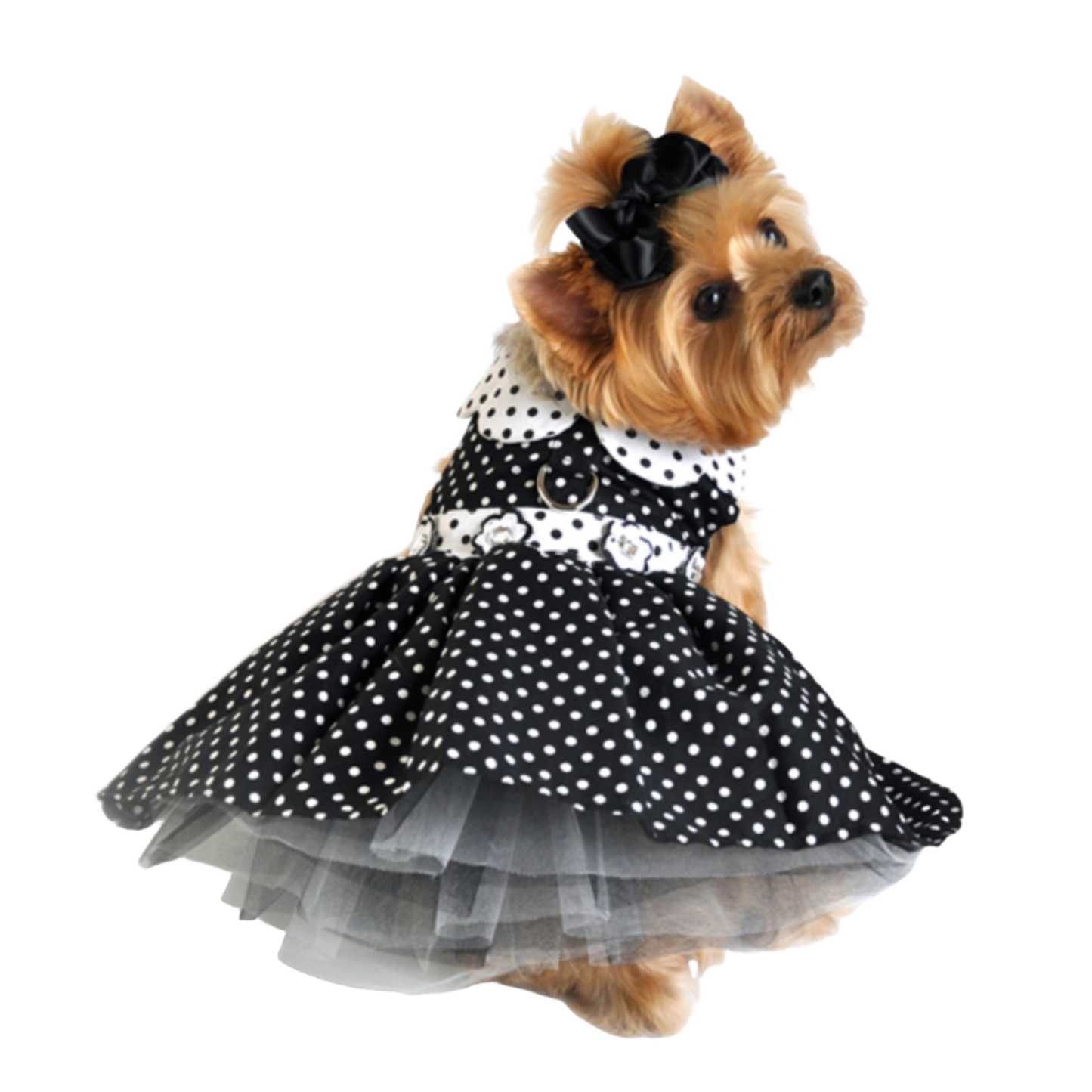 Vestido para perro con lunares en blanco y negro | Ropa para mascotas elegante y clásica