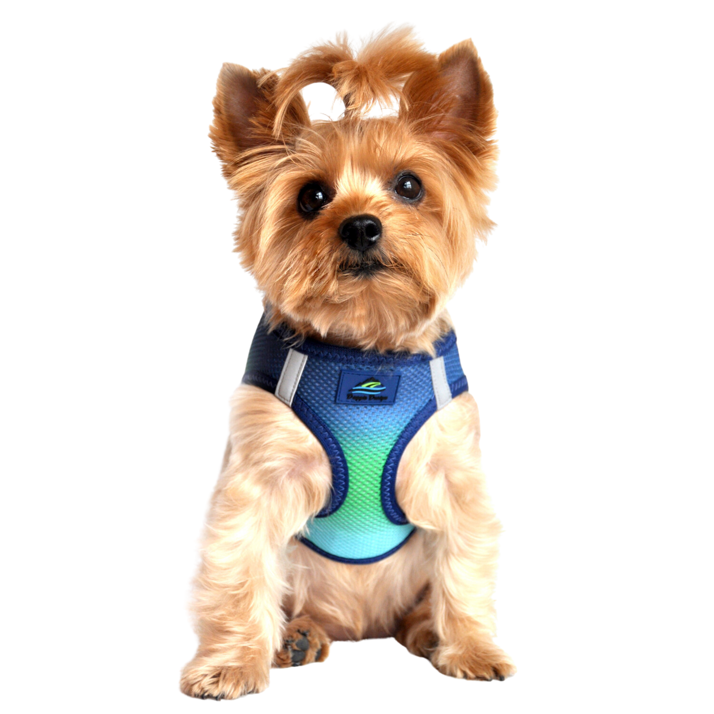 American River Choke Free Dog Harness, Ombre - Northern Lights