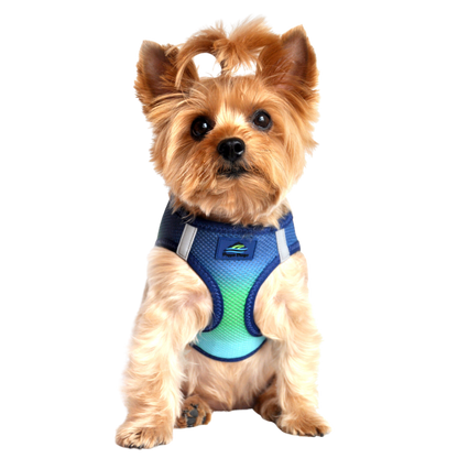 American River Choke Free Dog Harness, Ombre - Northern Lights