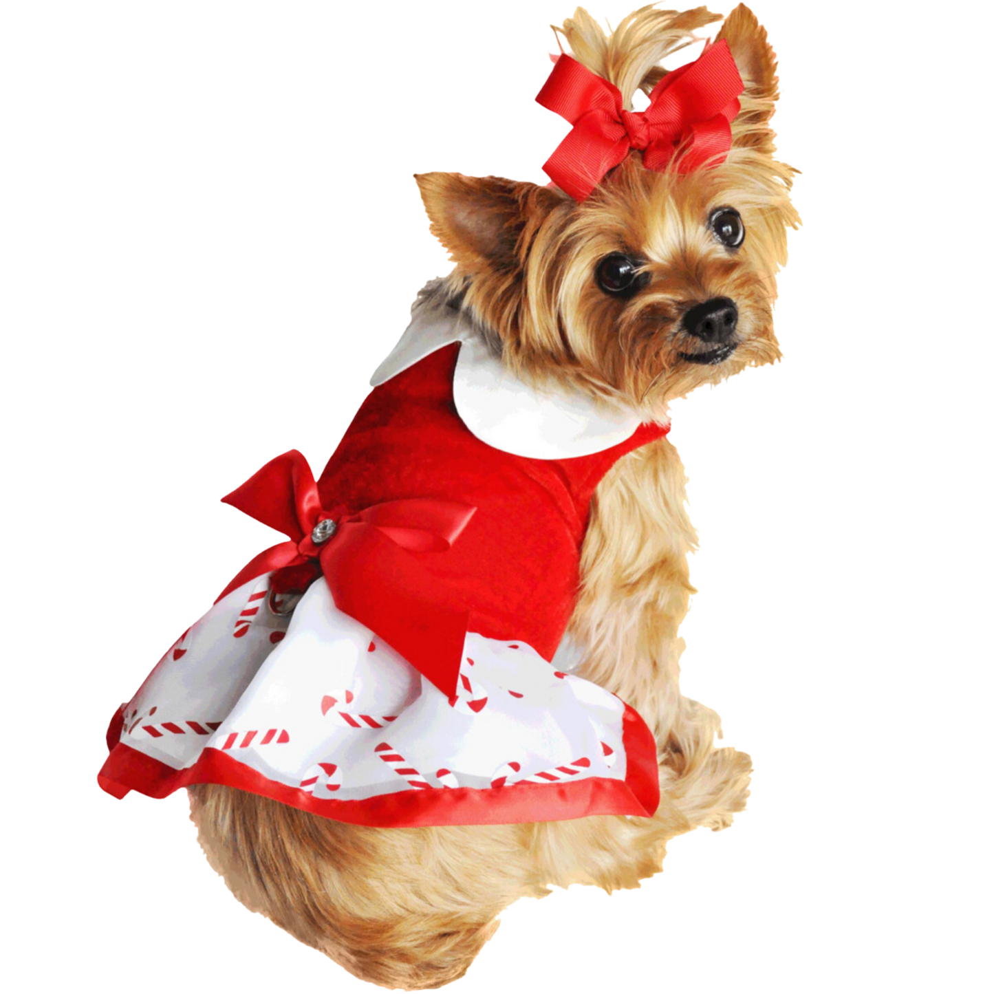 Festive Candy Canes Holiday Dog Harness Dress - Cute & Stylish