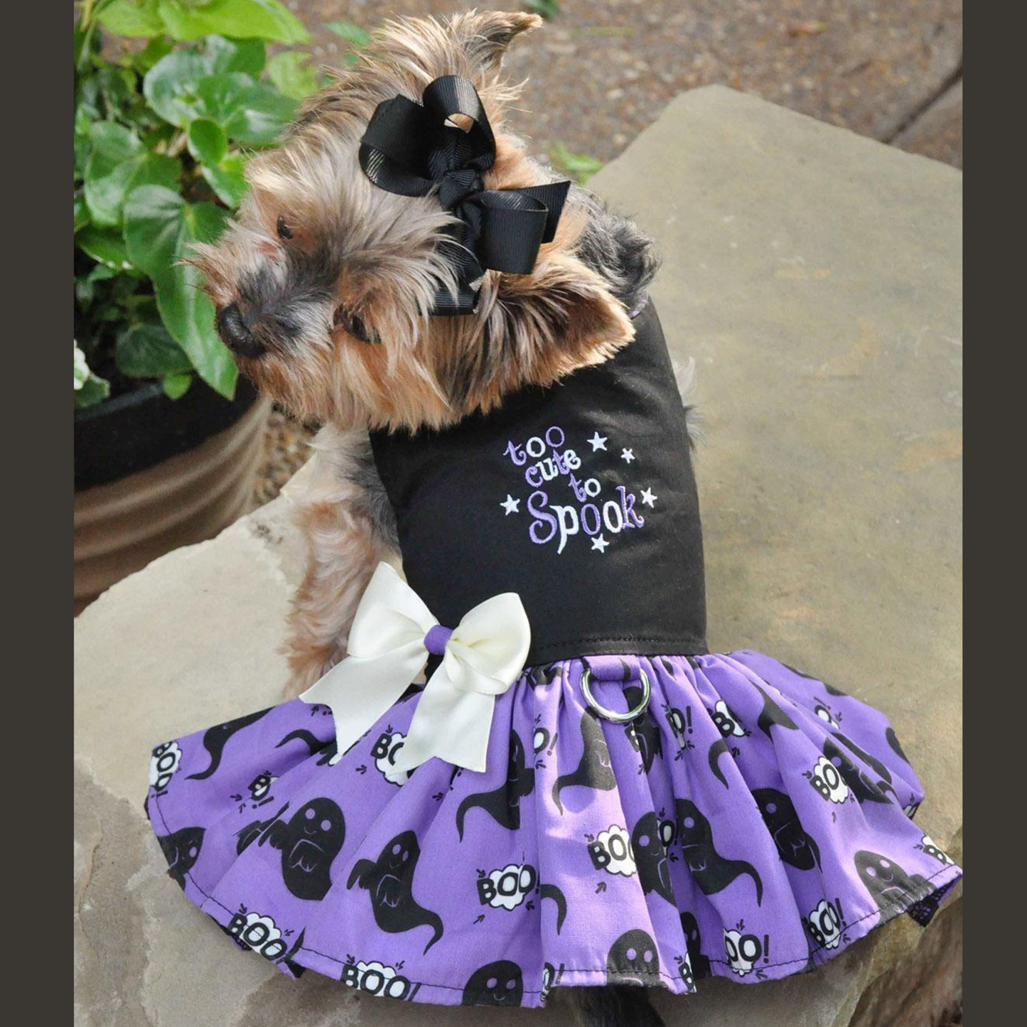 Disfraz de Halloween para perro con arnés | Disfraz de mascota lindo y espeluznante, ropa para perros