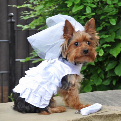 Arnés para vestido de novia para perro con velo y correa a juego