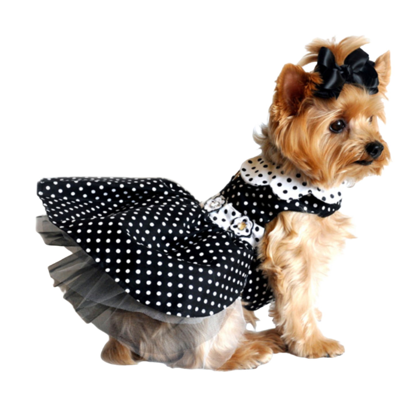 Vestido para perro con lunares en blanco y negro | Ropa para mascotas elegante y clásica