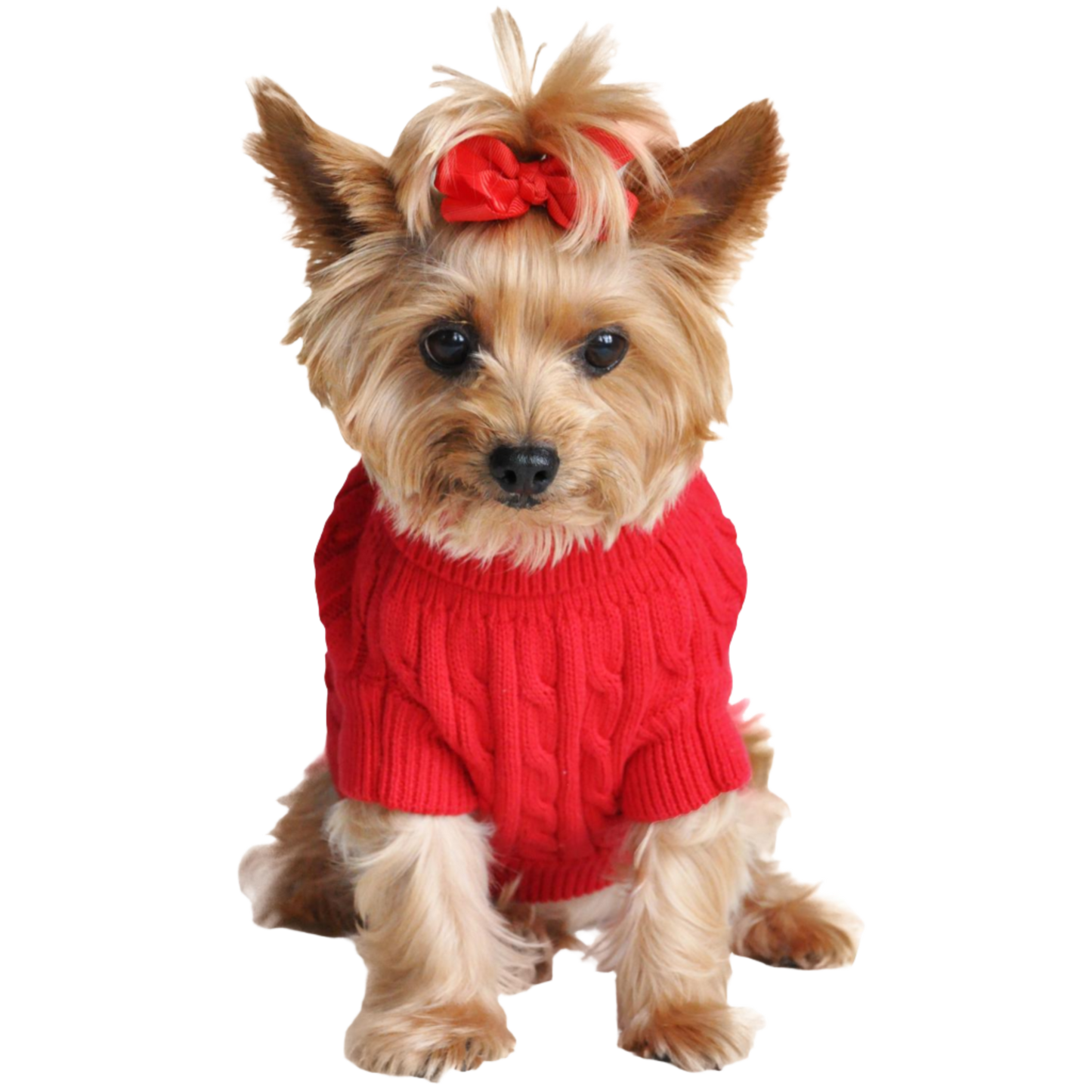 Combed Cotton Cable Knit Dog Sweater - Fiery Red, Soft and Warm