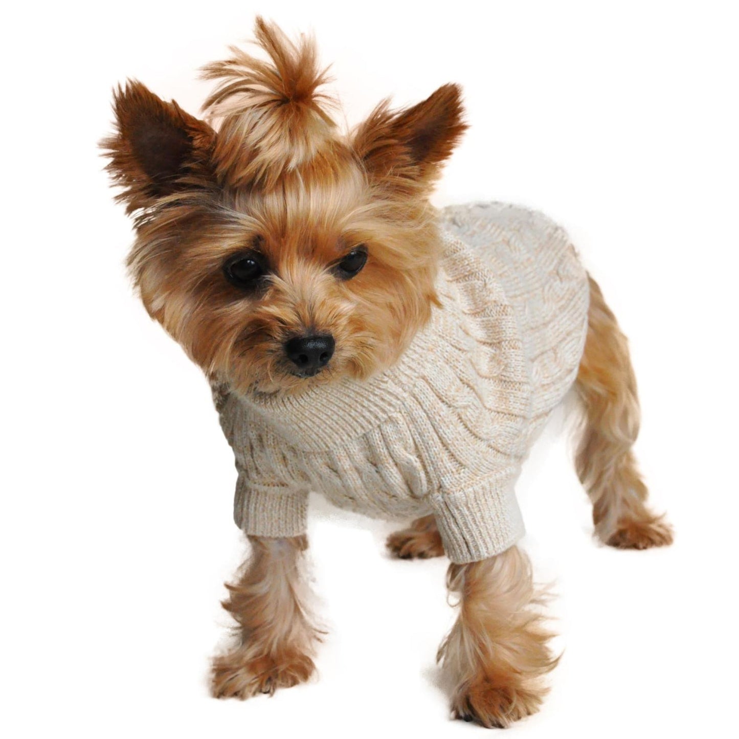 Chic Combed Cotton Cable Knit Dog Sweater – Soft & Stylish, 6 Colors