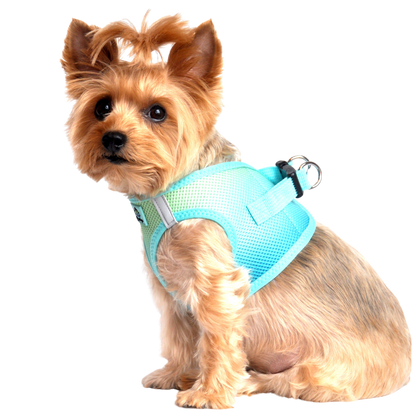 American River Choke Free Dog Harness, Ombre - Aruba Blue