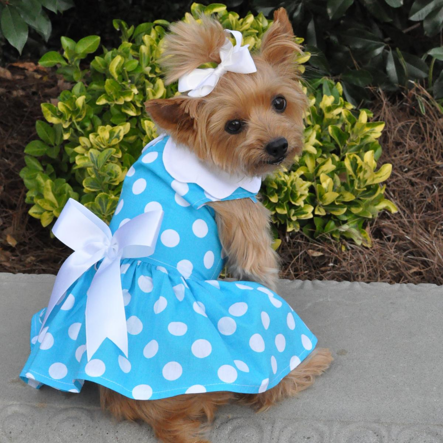 Vestido para perro con lunares - Blanco y negro