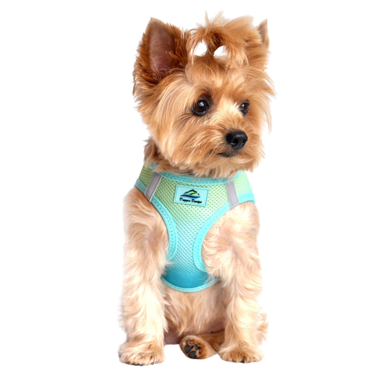 American River Choke Free Dog Harness, Ombre - Aruba Blue