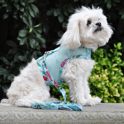 Cool Mesh Dog Harness with Matching Leash - Surfboards and Palms Design