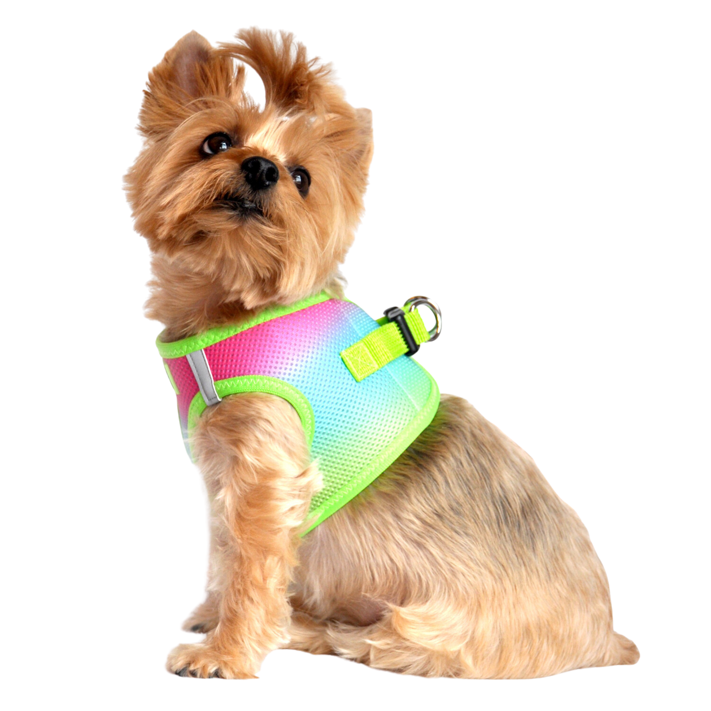 American River Choke Free Dog Harness, Ombre - Rainbow