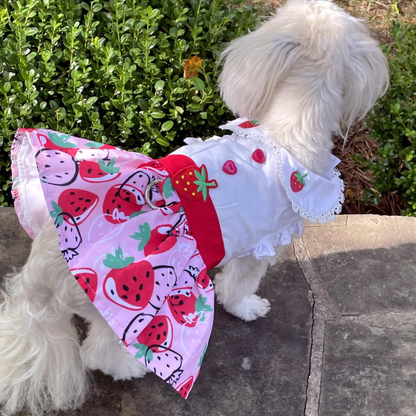 Vestido para perro con lunares - Blanco y negro