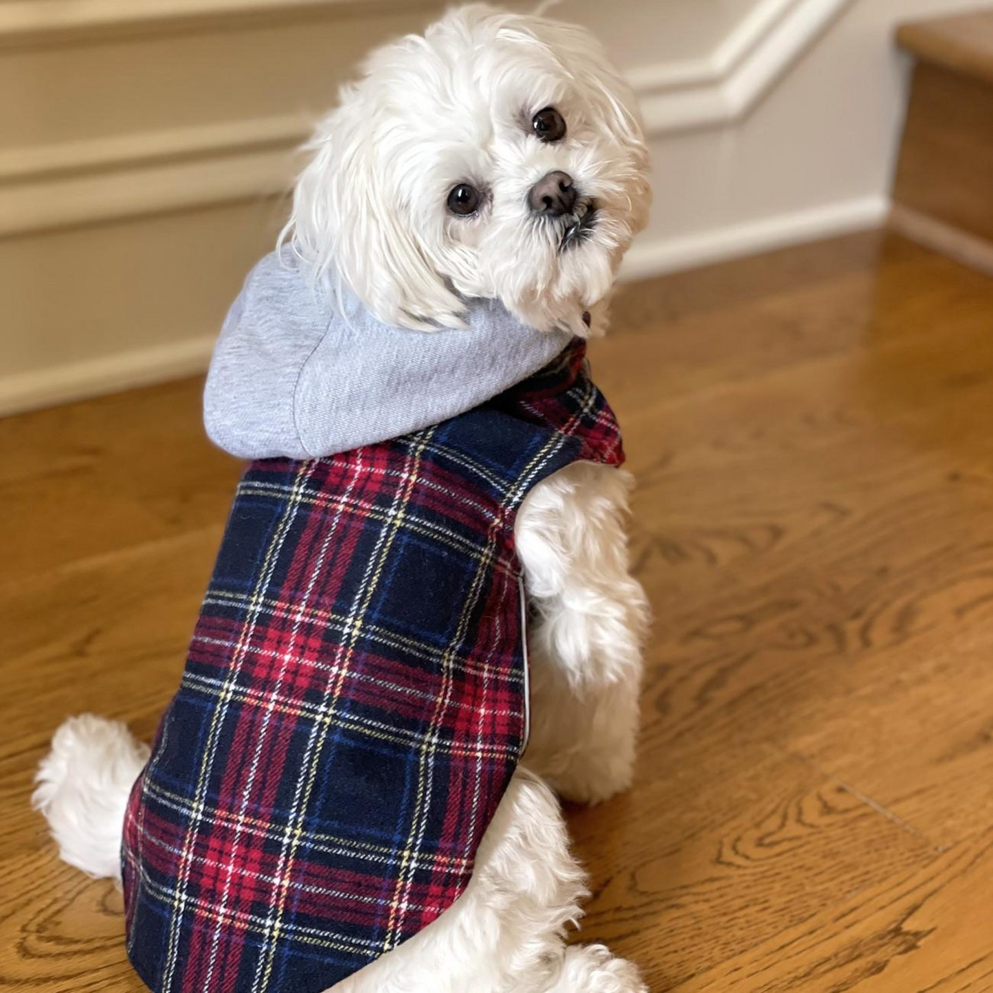 Sudadera con capucha para perro Weekender: franela a cuadros roja y negra