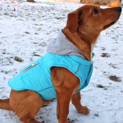 Weekender Dog Sweatshirt Hoodie - Light Blue