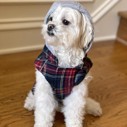 Sudadera con capucha para perro Weekender: franela a cuadros roja y negra