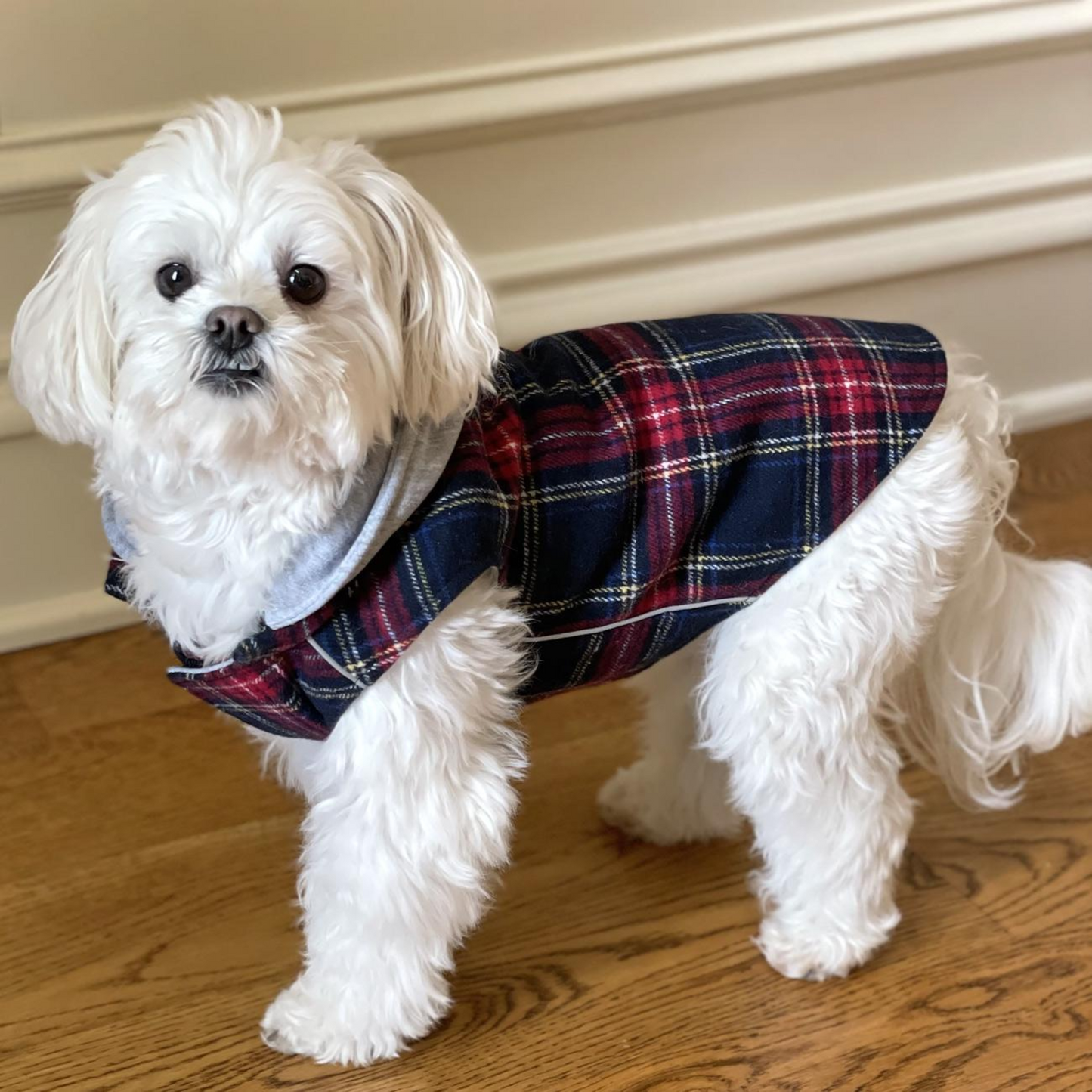 Weekender Dog Sweatshirt Hoodie - Red & Black Plaid Flannel