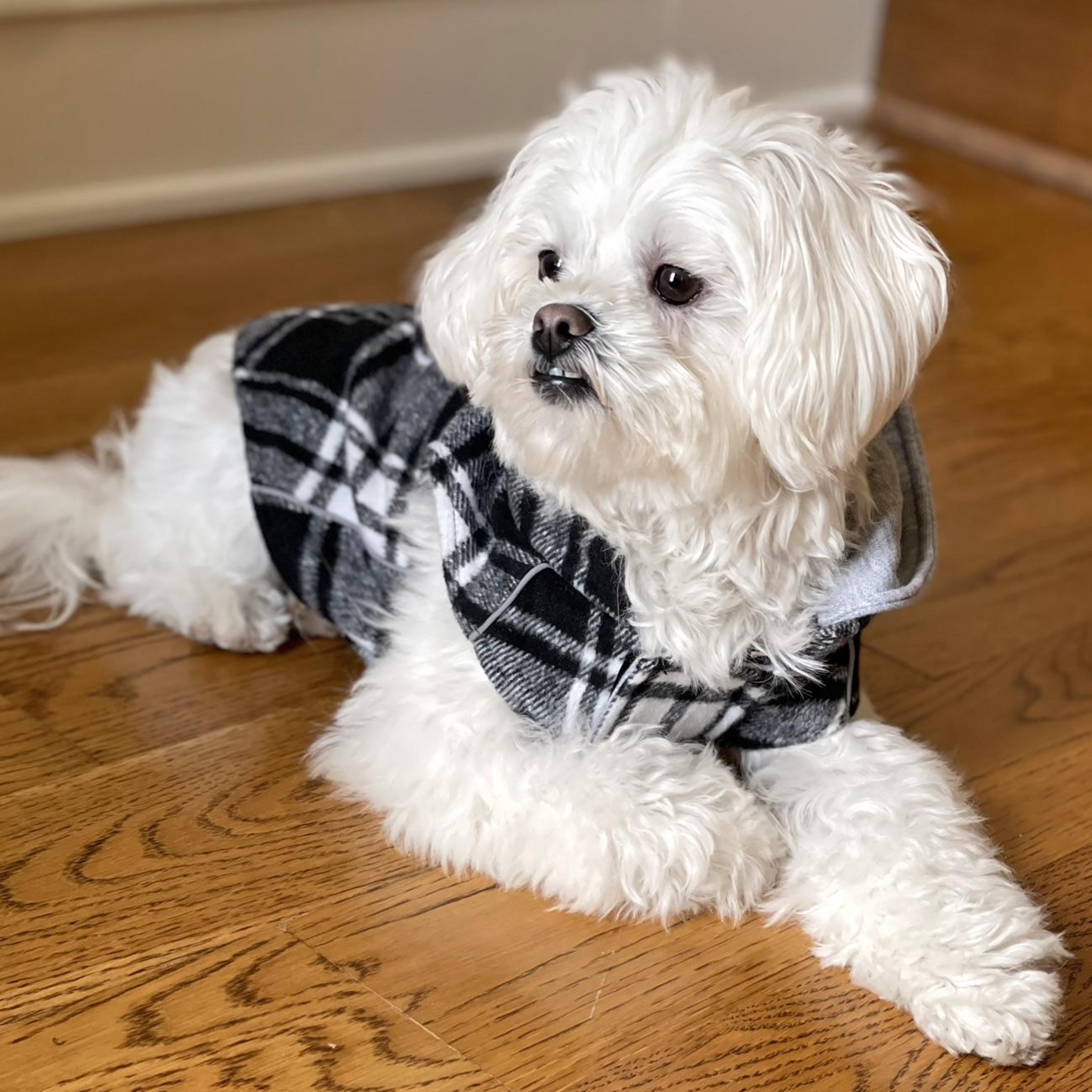 Sudadera con capucha para perro Weekender: franela a cuadros en blanco y negro