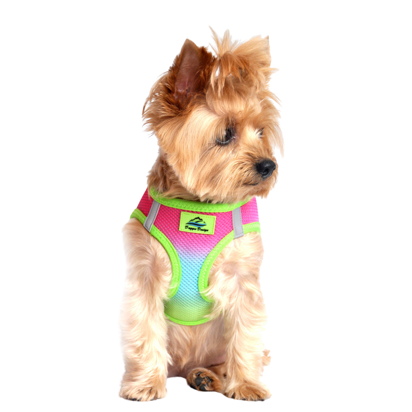 American River Choke Free Dog Harness, Ombre - Rainbow