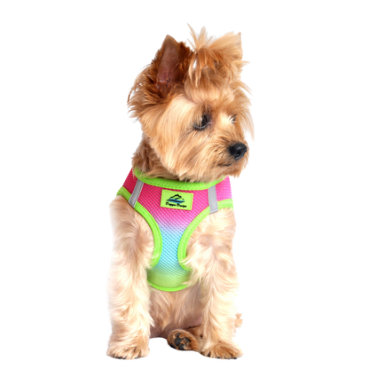 American River Choke Free Dog Harness, Ombre - Rainbow