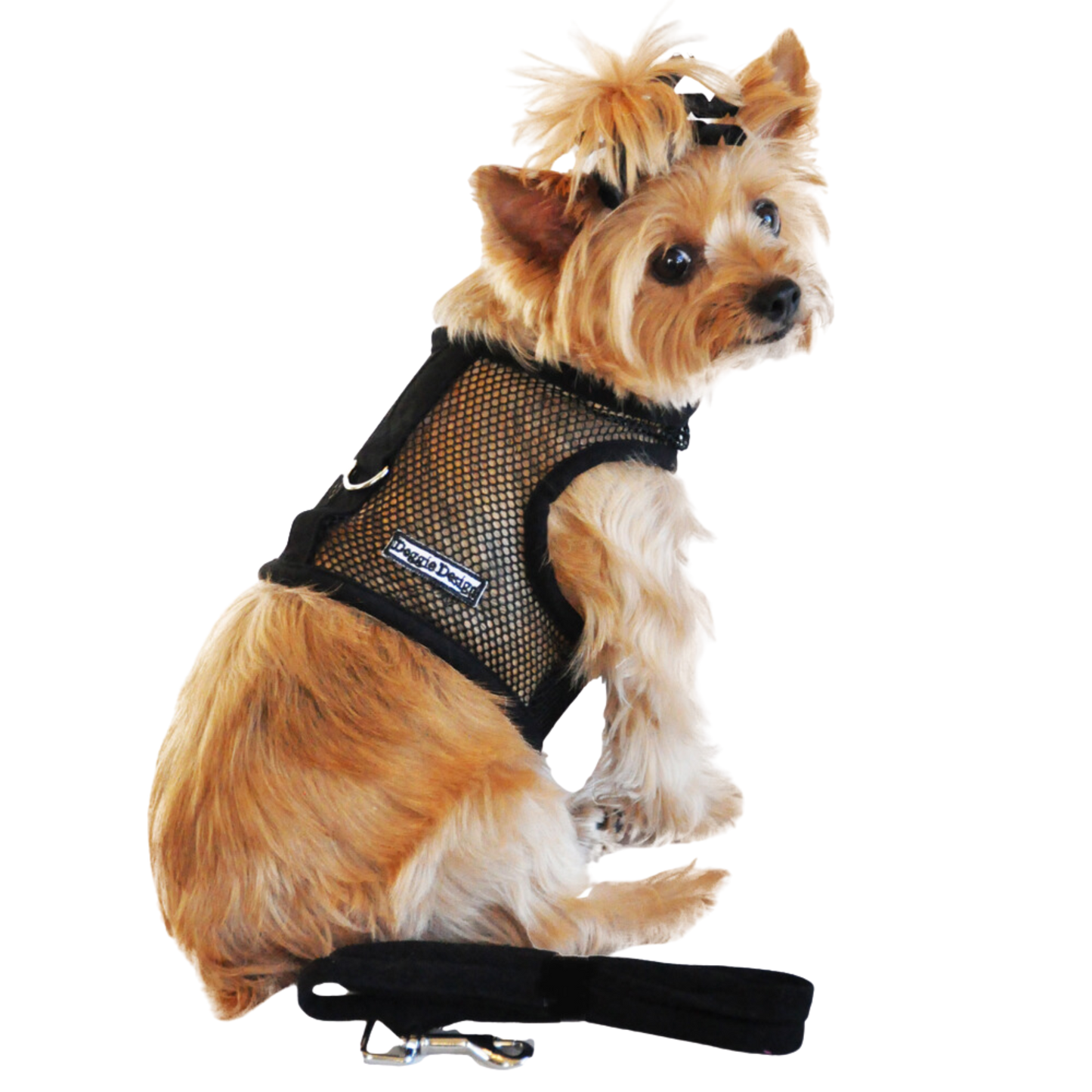 Cool Mesh Dog Harness with Leash - Solid Black