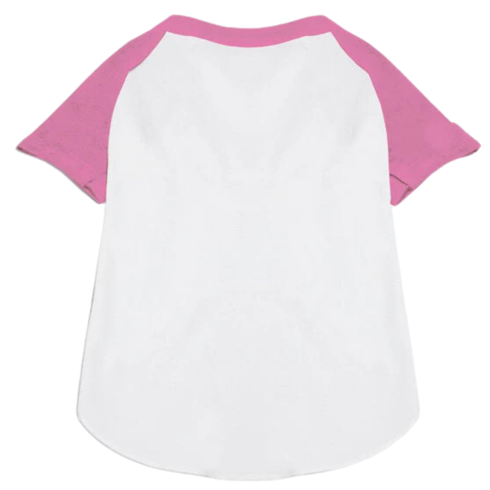 Custom Pet Team Raglan Shirt - Personalized Dog & Cat Apparel with Names & Numbers