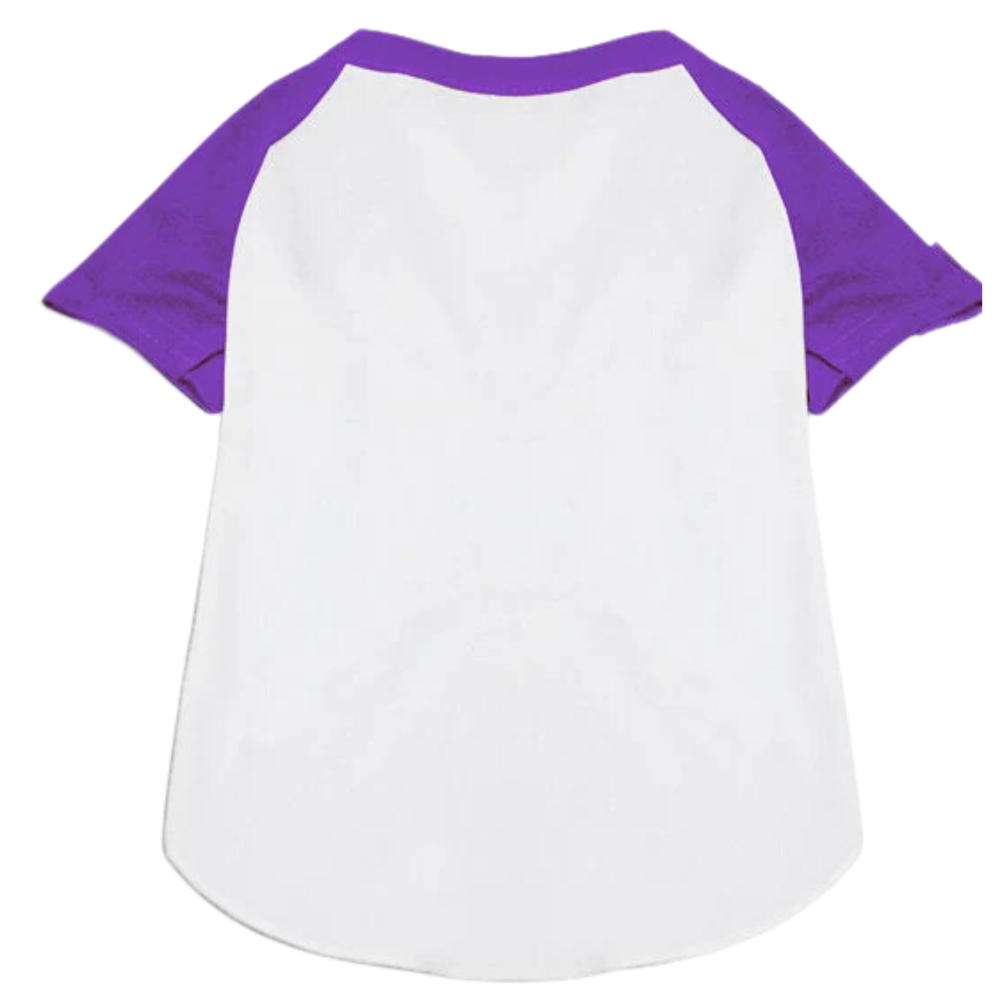 Custom Pet Team Raglan Shirt - Personalized Dog & Cat Apparel with Names & Numbers