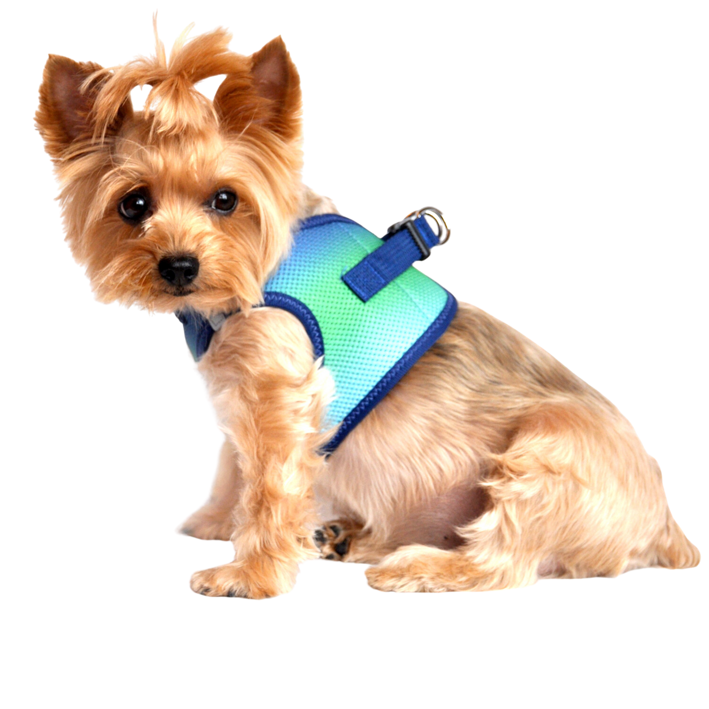 American River Choke Free Dog Harness, Ombre - Northern Lights