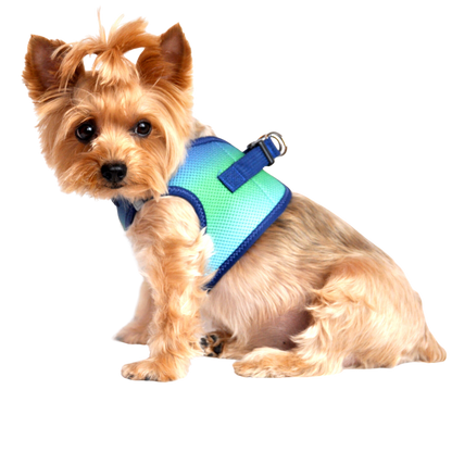 American River Choke Free Dog Harness, Ombre - Northern Lights