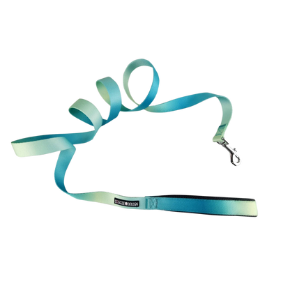 American River Ombre Dog Leash - Aruba Blue