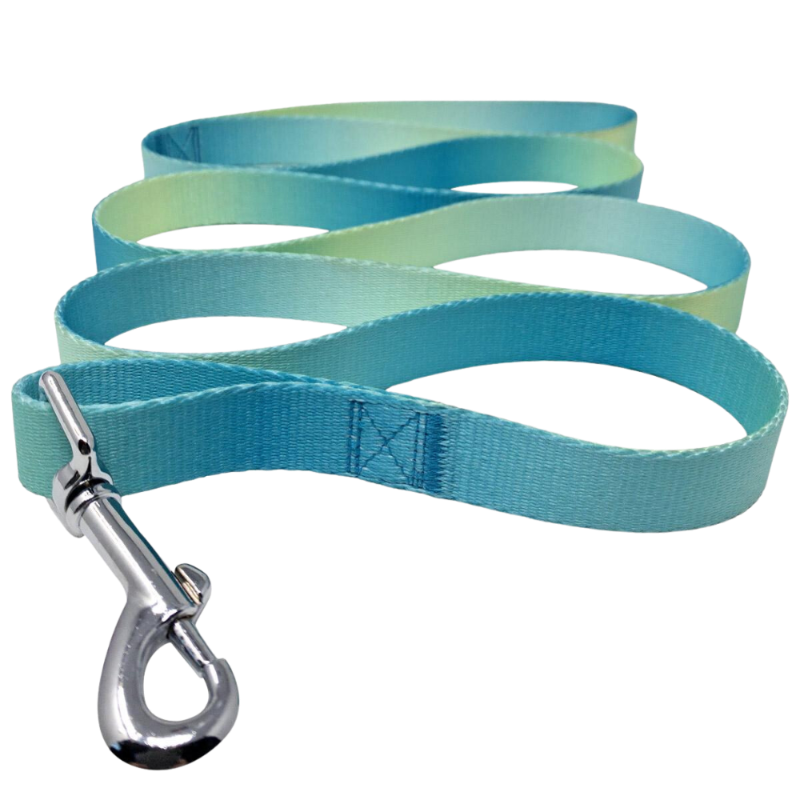 American River Ombre Dog Leash - Aruba Blue