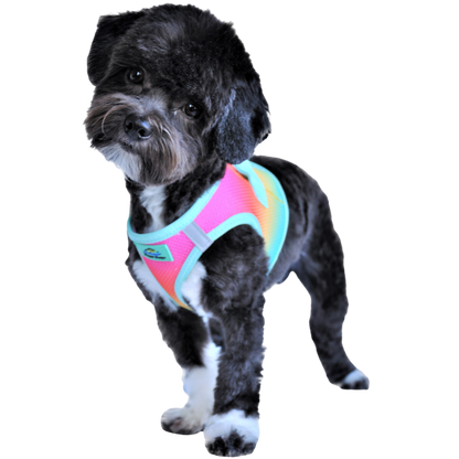 American River Choke Free Dog Harness, Ombre - Beach Party