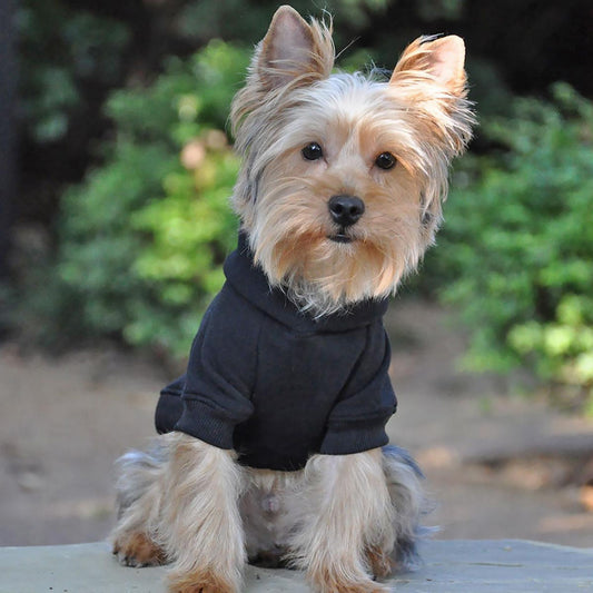 High Cut Tummy Pet Hoodie, Black - Comfortable & Stylish