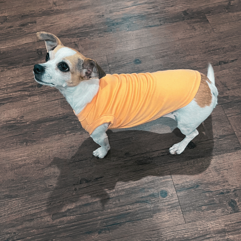 Camiseta para perros y gatos en blanco: ropa para mascotas de colores lisos y lisos, tallas XS a XL