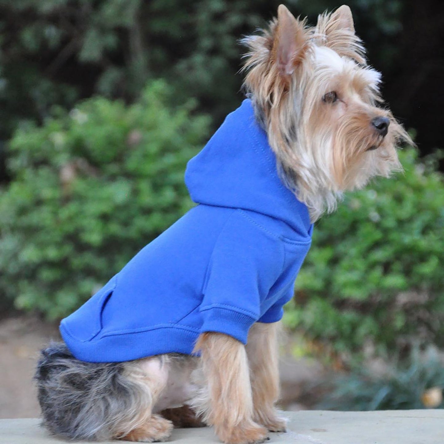 Sudadera con capucha para mascotas con corte alto y barriga, azul: cómoda y elegante