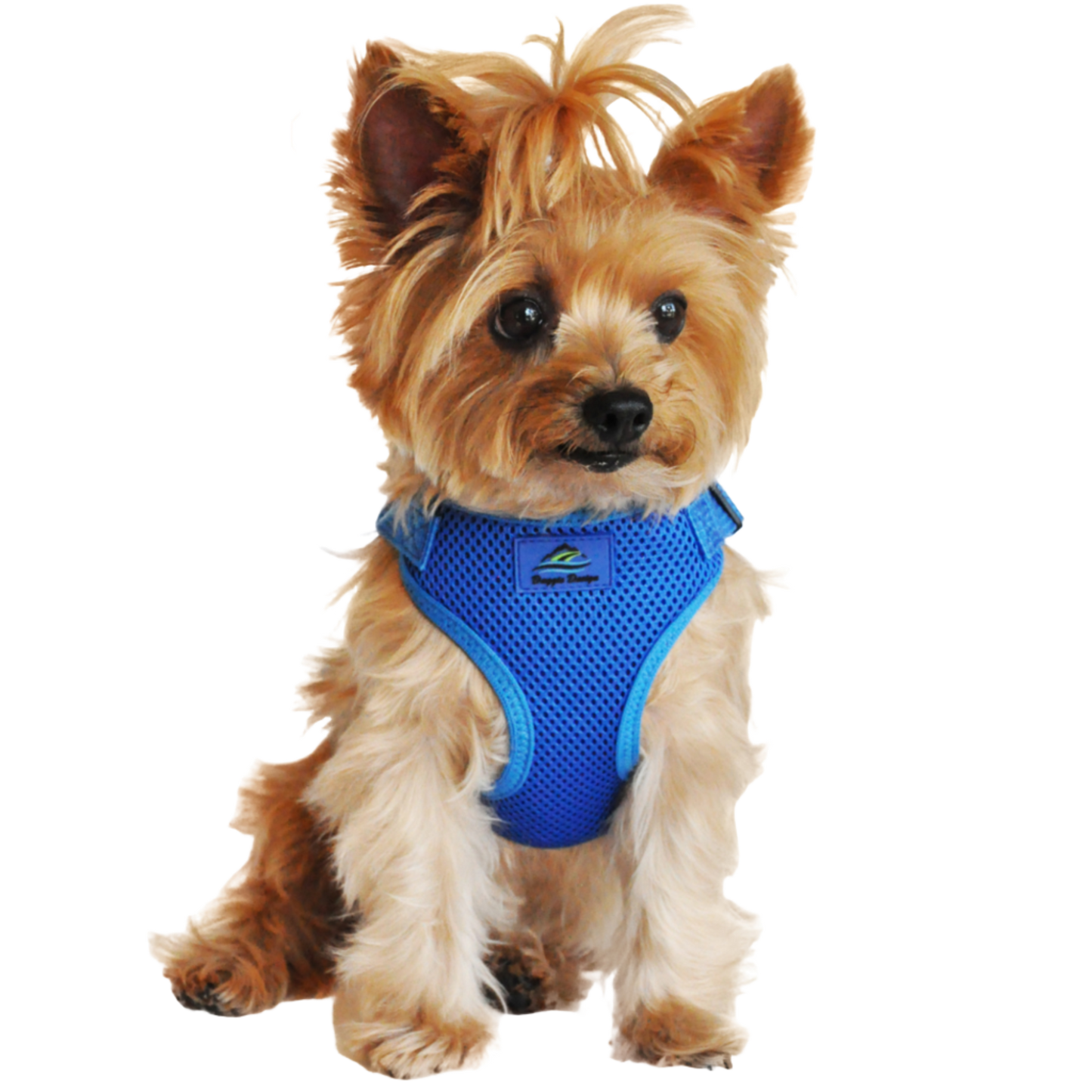 Wrap and Snap Choke Free Dog Harness - Cobalt Blue