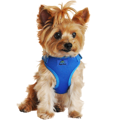 Wrap and Snap Choke Free Dog Harness - Cobalt Blue