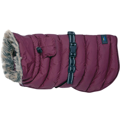 Alpine Extreme Weather Dog Coat - Warm Water-Resistant Puffer Jacket