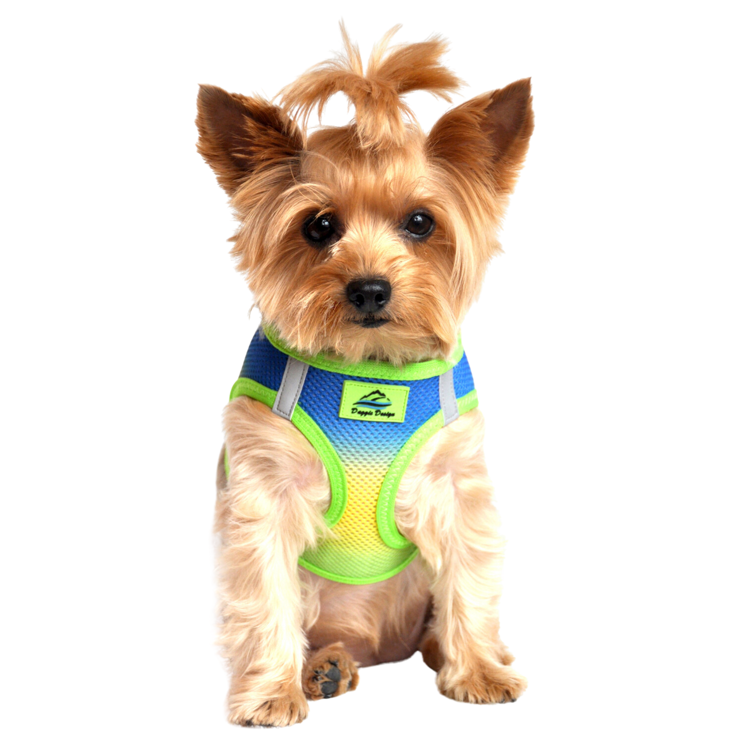 American River Choke Free Dog Harness, Ombre - Cobalt Sport