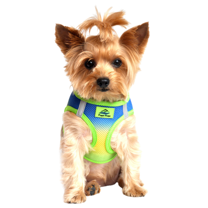 American River Choke Free Dog Harness, Ombre - Cobalt Sport