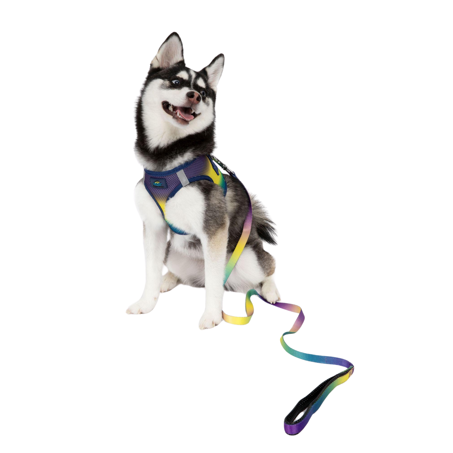 American River Ombre Dog Leash - Cosmic Splash