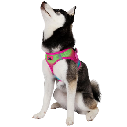 American River Choke Free Dog Harness, Ombre - Cotton Candy