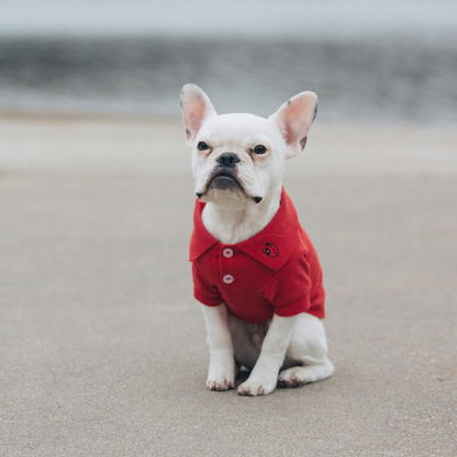 Polo liso para perros - Rojo escarlata flameante | Ropa para mascotas 100 % algodón para perros