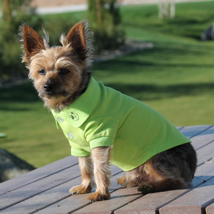 Polo liso para perros - Verde Flash | Ropa para mascotas 100 % algodón para perros