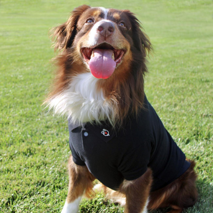 Polo liso para perros - Negro azabache | Ropa para mascotas 100 % algodón para perros