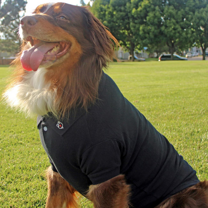 Polo liso para perros - Negro azabache | Ropa para mascotas 100 % algodón para perros