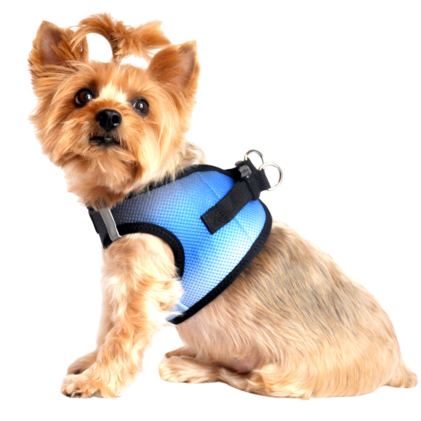 American River Choke Free Dog Harness, Ombre - Midnight Sky