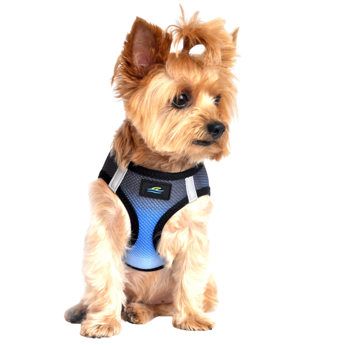 American River Choke Free Dog Harness, Ombre - Midnight Sky