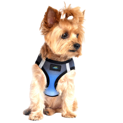 American River Choke Free Dog Harness, Ombre - Midnight Sky