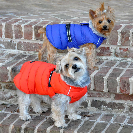 Alpine Extreme Weather Dog Coat - Warm Water-Resistant Puffer Jacket