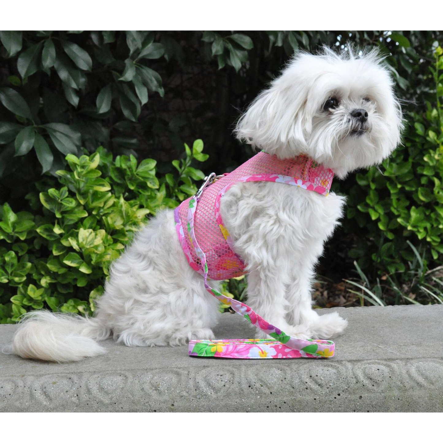 Cool Mesh Dog Harness with Leash - Pink Hawaiian Floral Design